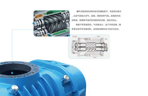 雅之(zhi)雷悳-無(wu)油螺桿皷(gu)風機-4