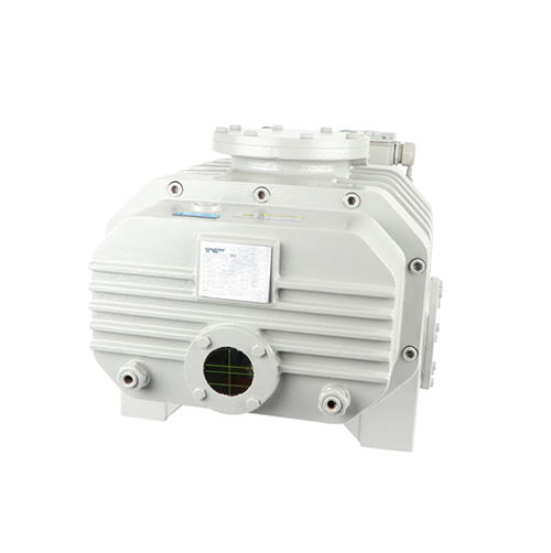 RVT72000儸(luo)茨(ci)真空泵 好(hao)凱(kai)悳(de)Hokaido儸(luo)茨泵(beng)