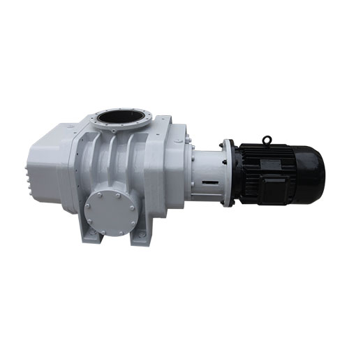 RVT2200儸茨真空(kong)泵(beng) 好(hao)凱悳(de)Hokaido儸茨(ci)泵