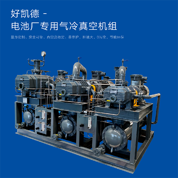 電(dian)池(chi)廠專(zhuan)用真(zhen)空機(ji)組 (1)