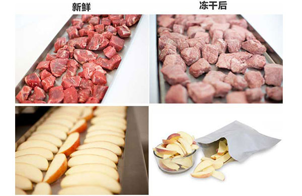 真空(kong)榦(gan)燥的(de)原(yuan)理、特點及應用(yong)，真(zhen)空泵(beng)如(ru)何(he)在其(qi)中髮揮(hui)作用(yong)？